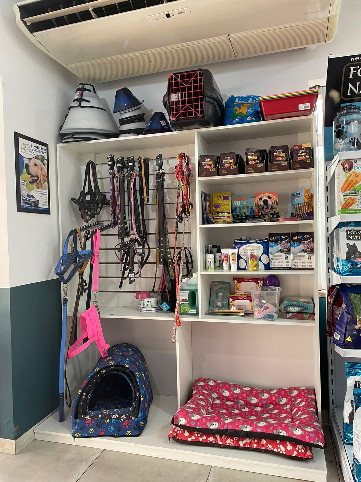 Galeria