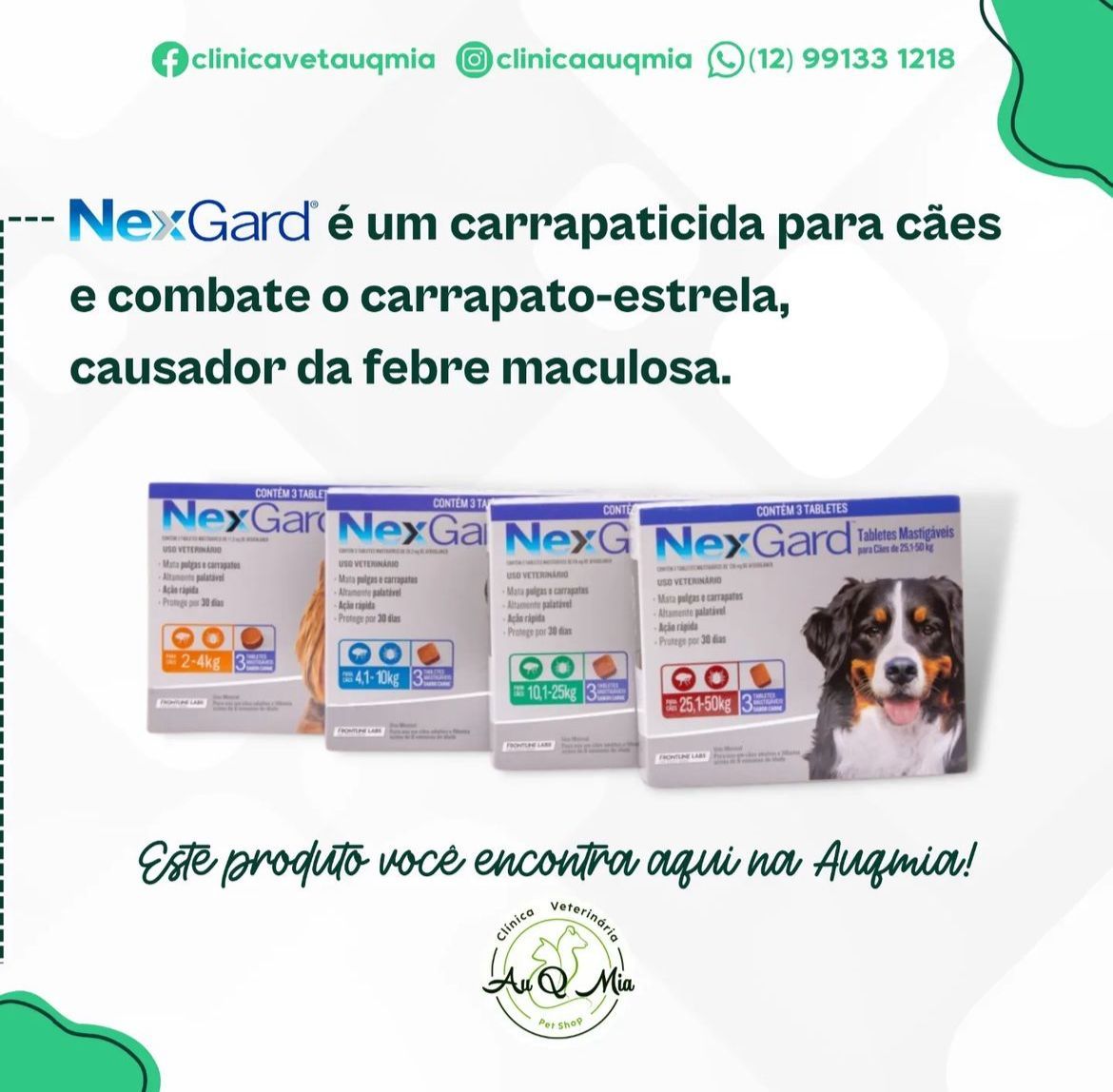 Galeria
