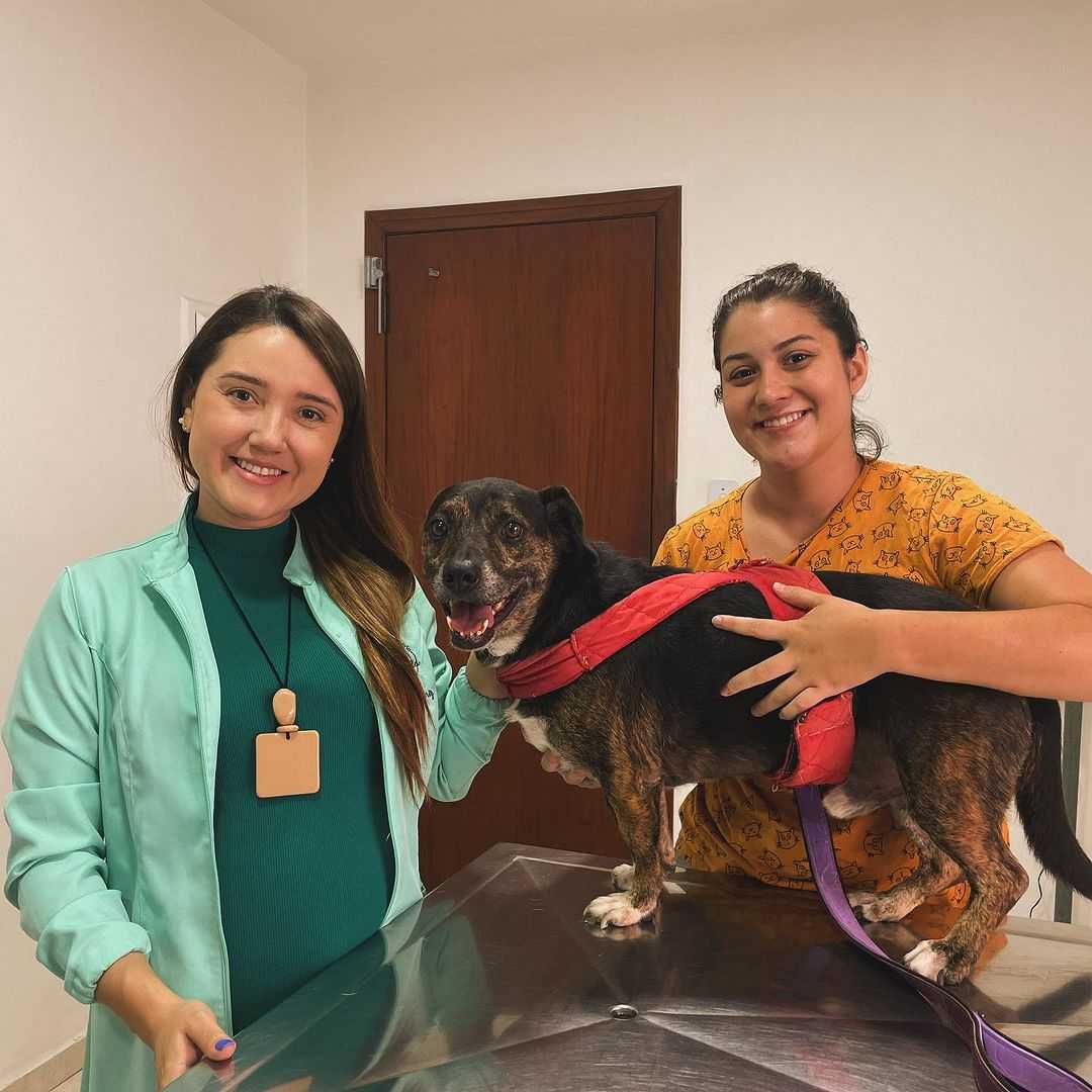 Foto da Galeria