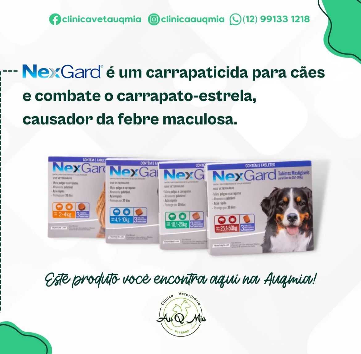 Foto da Galeria