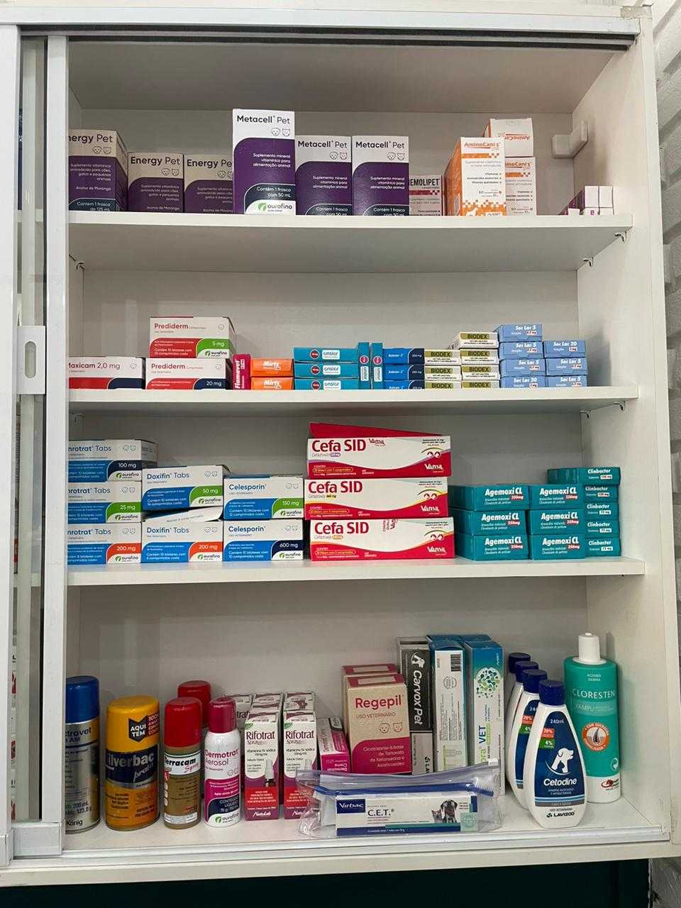 Foto da Galeria