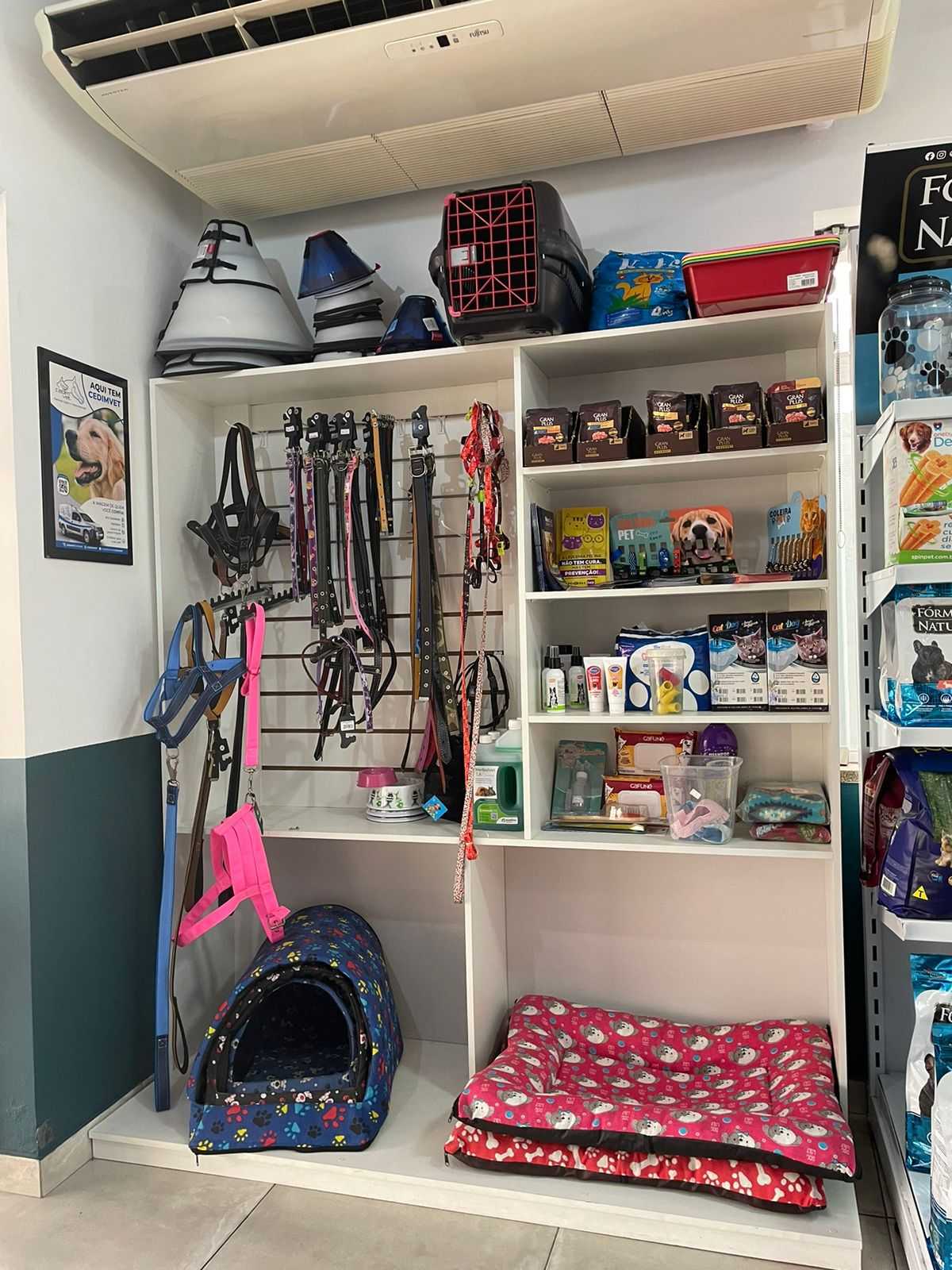 Foto da Galeria